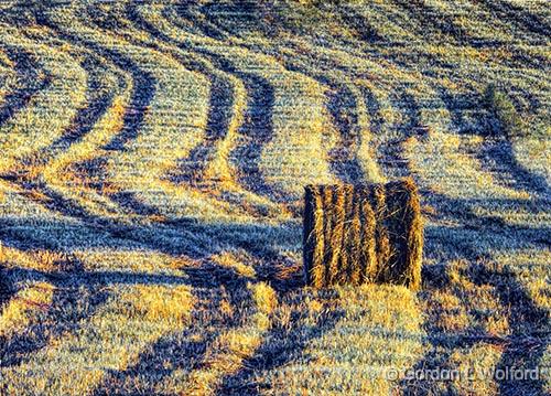 Bale In Mowed Field_DSCF06635-7.jpg - Photographed near Portland, Ontario, Canada.